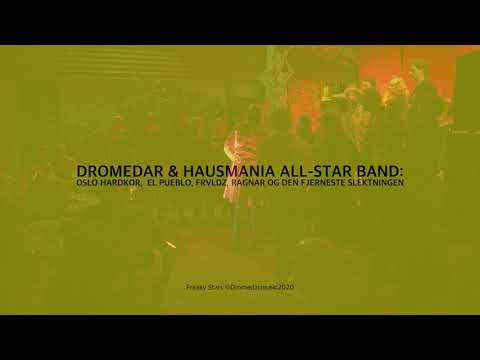 FREAKY STARS- Dromedar & Hausmania All-Star-Band