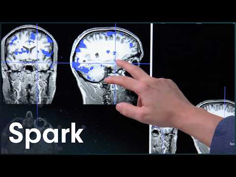 Is Fear a Disease? The Quest to Reprogram the Human Mind