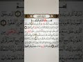 تلاوة خاشعة جدا _ بصوت القارئ سعد الغامدي _ ارح سمعك 🎧.