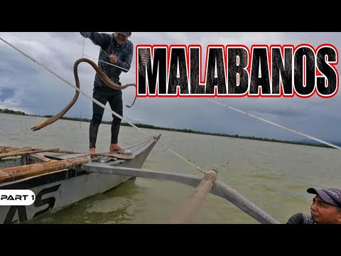 P1-MALABANOS HULI SA KITANG - EP1415