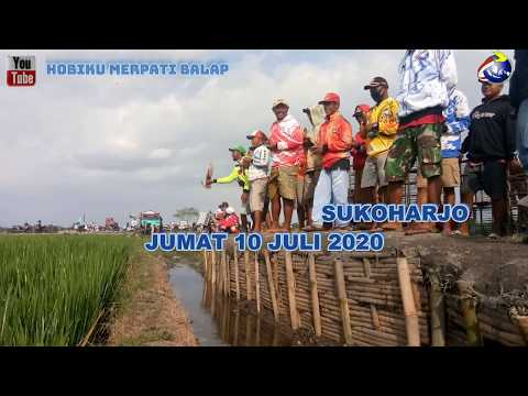 #HMBTIPS CARA MELATIH MERPATI BALAP PIYIK | AGAR TEMBAK KERAS TERBANG KENCANG STUT KENCANG DARI NOL