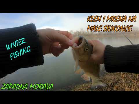 Pecanje klena i mrene na male silikonce // Winter Fishing