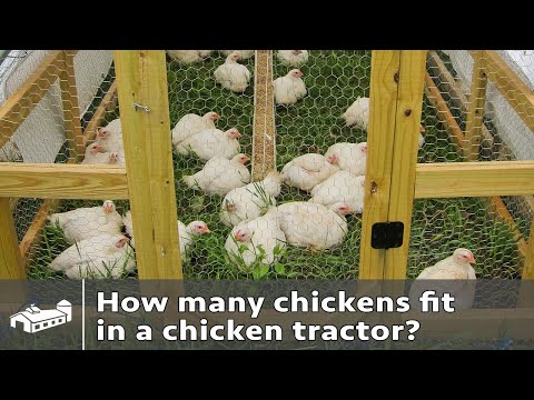, title : 'How Many Chickens Per Chicken Tractor?'