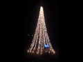 Harrell Christmas Mega Tree Test