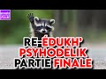 RE-ÉDUKH' : PSYHODELIK - PARTIE FINALE