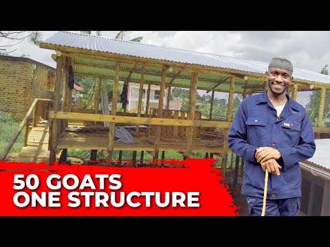 Building Our Goat and Poultry Farm – From the Ground Up!