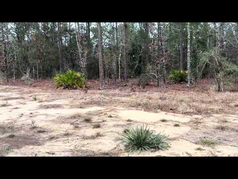 Sw 124 terr rd om692217