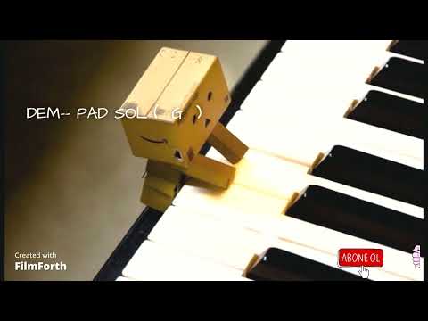 DEM (SOL) KARAR ENSTRUMANINLA EŞLİK ET