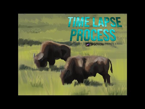 Bison time lapse process
