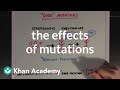 The Effects Of Mutations Biomolecules MCAT Khan Academy