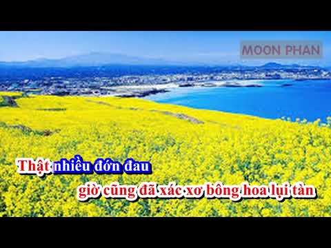 [Karaoke + Beat] ANH ƠI Ở LẠI - CHI PU