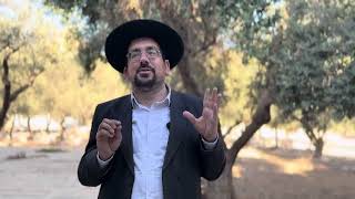 קדושת אדמת הארץ מהיכן נדרשת? | הרב אליהו ובר (ישיבת הר הבית) - התמונה מוצגת ישירות מתוך אתר האינטרנט יוטיוב. זכויות היוצרים בתמונה שייכות ליוצרה. קישור קרדיט למקור התוכן נמצא בתוך דף הסרטון