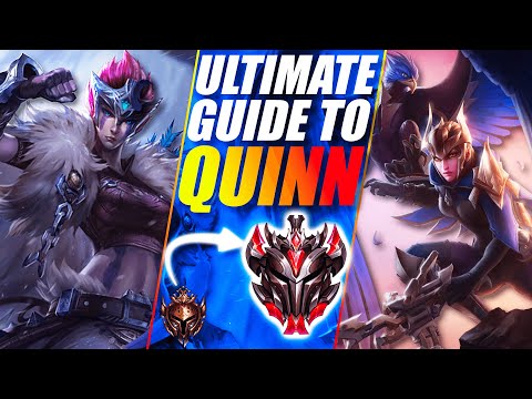 ULTIMATE GUIDE TO QUINN BY THE RANK #1 QUINN - Everything You Need To Know to Play Quinn