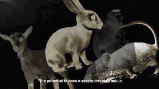 Re: [問卦] 中共有可能為洩漏武漢肺炎病毒道歉嗎？