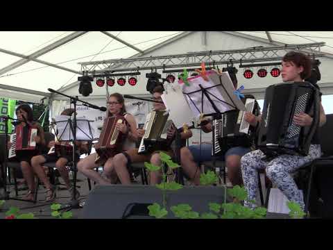 III. Dunamenti Halfesztivál - Harmonikás növendékek - Mohács