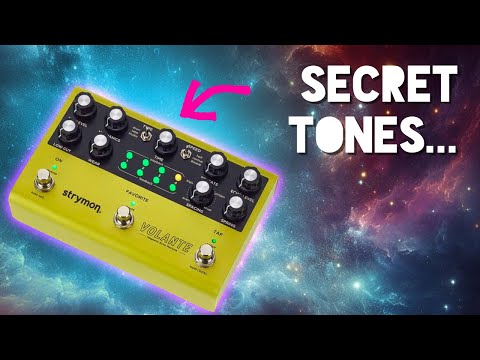 Unlock the Magic of the Strymon Volante: 4 MUST have settings!
