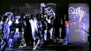 Mobb Deep - Survival Of The Fittest video