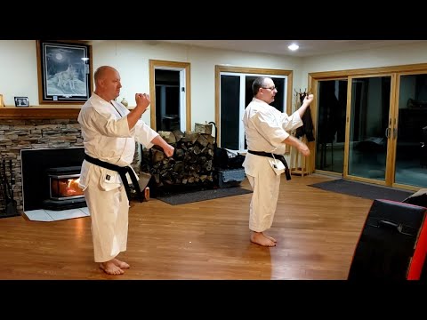 Home Shotokan Karate Training - February 5th 2021 - Basic Training
