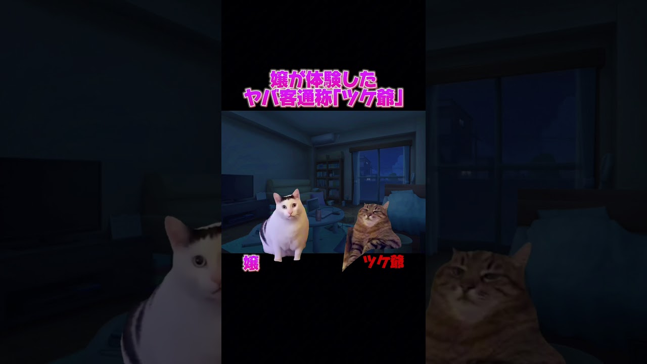 【閲覧注意】衝撃作の為消された動画