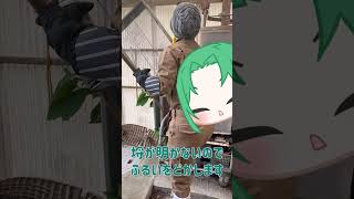 縦型動画