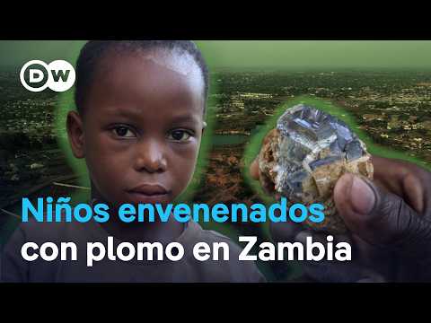 Zambia's toxic legacy: The fight against lead