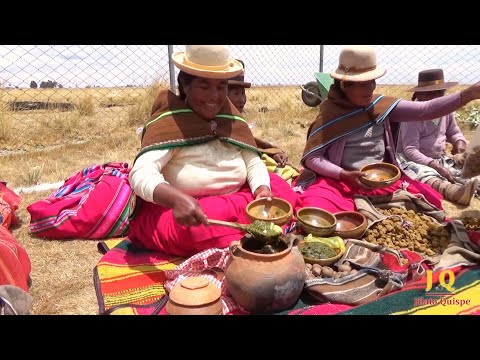 FERIA GASTRONÓMICA ANCESTRAL comunidad Gran Puni ESCOMA, Lago Titicaca prov. Camacho La Paz  Bolivia