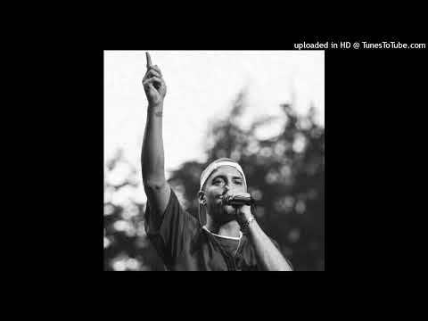 [FREE] Eminem x 2Pac Boom Bap Type Beat - "Lessons"