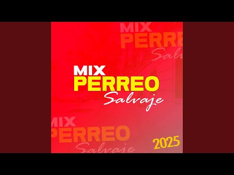 MIX PERREO SALVAJE 2025