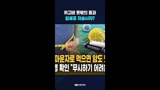 위고비 뜻밖의 효과 #shorts
