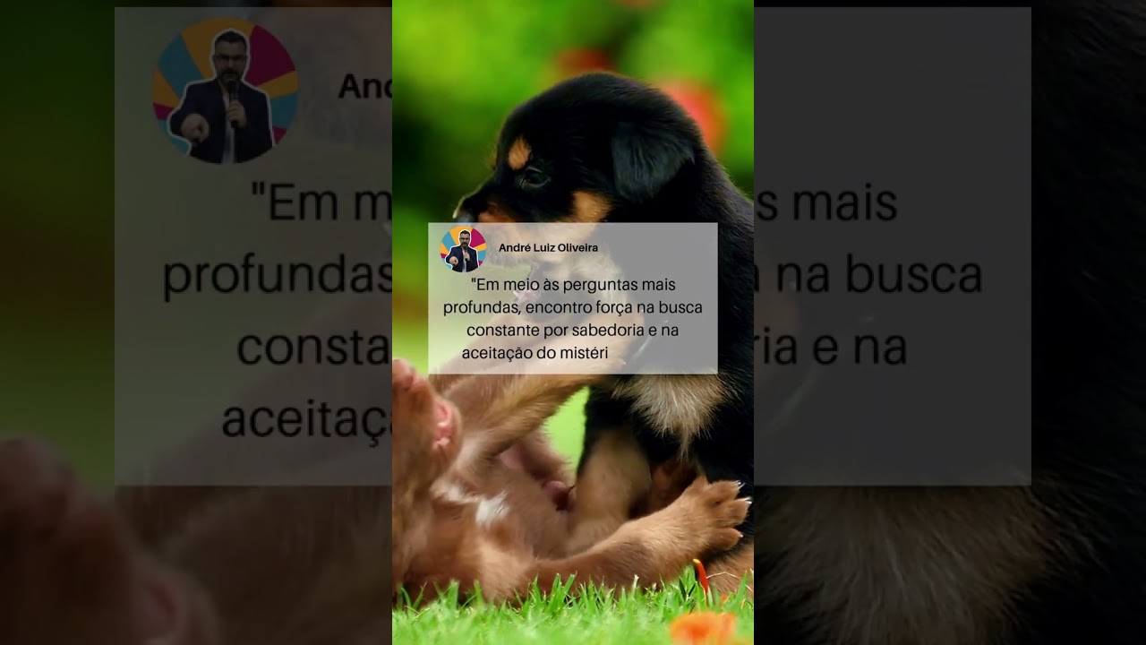 Frases para Desenvolvimento Pessoal