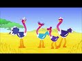 Closing To Olive The Ostrich Cowboy Ranch 2021