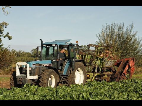 Landb. Lambrecht - Ertvelde - Ford 8340 en Stoll V50