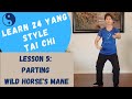 Yang Style Tai Chi: Parting Wild Horses Mane; Step-by-Step Instructions - Internal Tai Chi Yang Style Tai Chi: Parting Wild Horses Mane; Step-by-Step Instructions