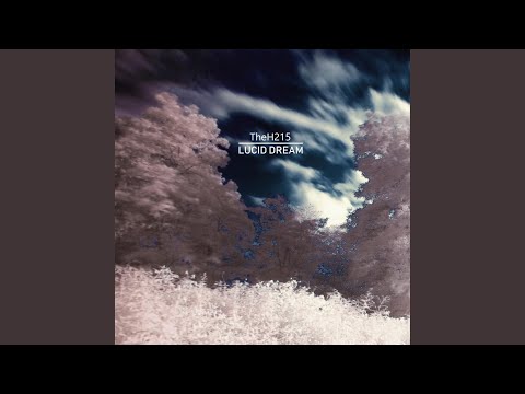 Lucid Dream