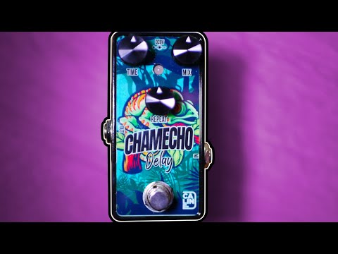 Caline G009 Chamecho Delay G Series Guitar Effect Pedal  2022 - Painted Design image 2