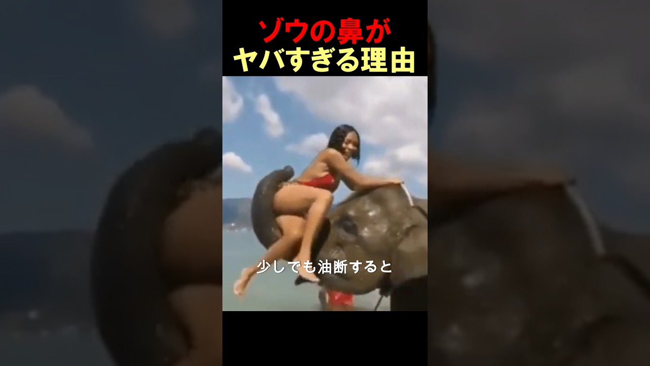 スゴすぎる象の鼻！？ #shorts