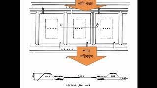 নতুন পুকুর খনন পদ্ধতি [Fish Pond Design and Excavation]