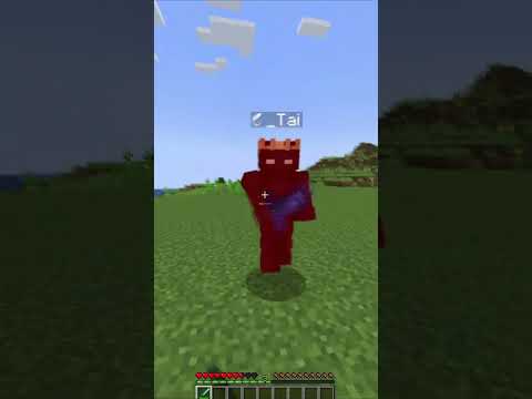 EPIC MINECRAFT COMBO || MUST WATCH!