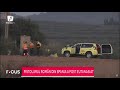Pistolarul Român Din Spania A Fost Eutanasiat