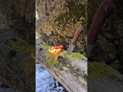 The Procamptek Fast Fire Stick