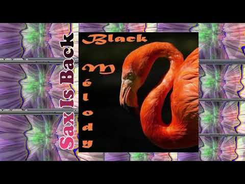 Sly5thAve - Shiznit (feat. Jesse Fischer) + Nautilus - Root Down (feat. Fleur Earth)