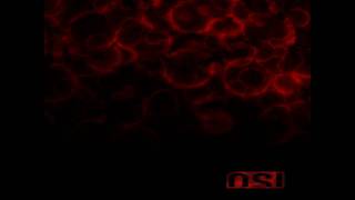 OSI - No Celebrations