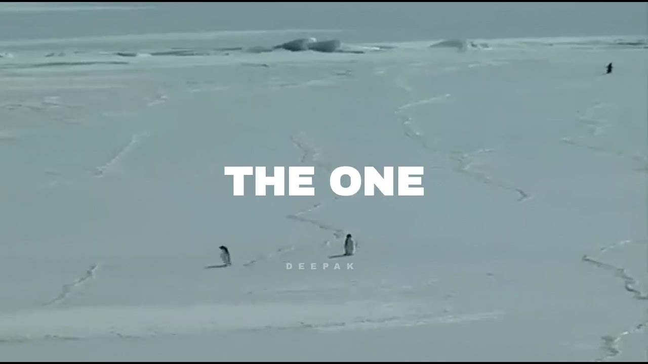 Nature - Deranged Penguin Edit 