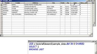 Learn Visual FoxPro @ garfieldhudson.com - Importing/Exporting Records (Lesson 10 of 30)