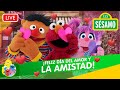 Plaza Sésamo Festejando San Valentín Con Los Amigos De Sésamo Live