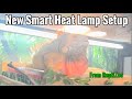 Install & Review Of New Smart Lamps From ReptiZoo - Rocket The Iguana
