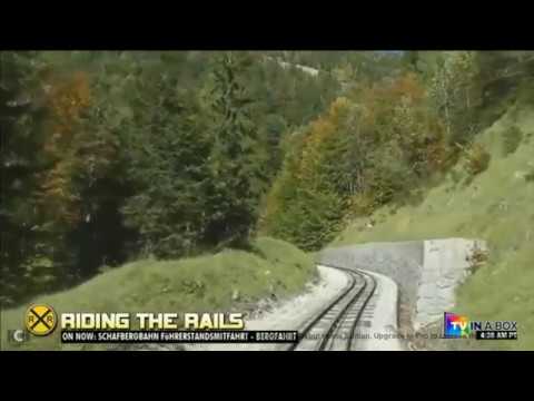 Forest Train Driver's view