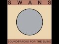 Swans - YRP 2