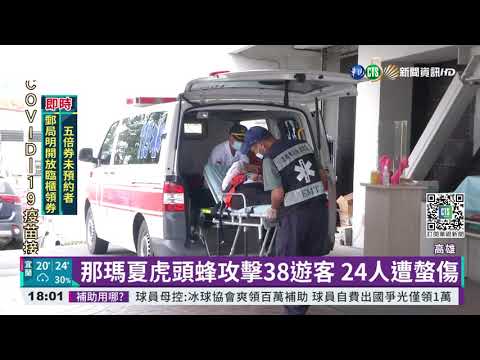 那瑪夏虎頭蜂攻擊38遊客 24人遭螫傷