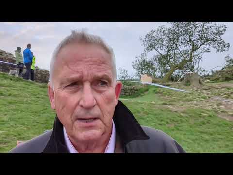 Council Leader expresses sadness over Sycamore Gap tree felling